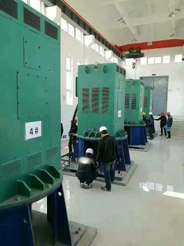 东凤镇某污水处理厂使用我厂的立式高压电机安装现场
